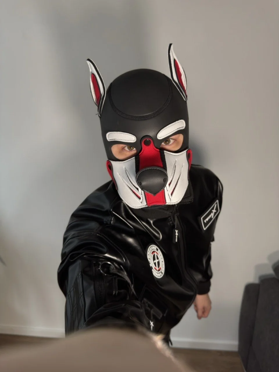 Beispielfoto: Pup mit schwarz-weißer Neopren-Maske